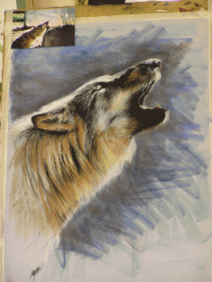 Vic Bearcroft 13.6.2 gif